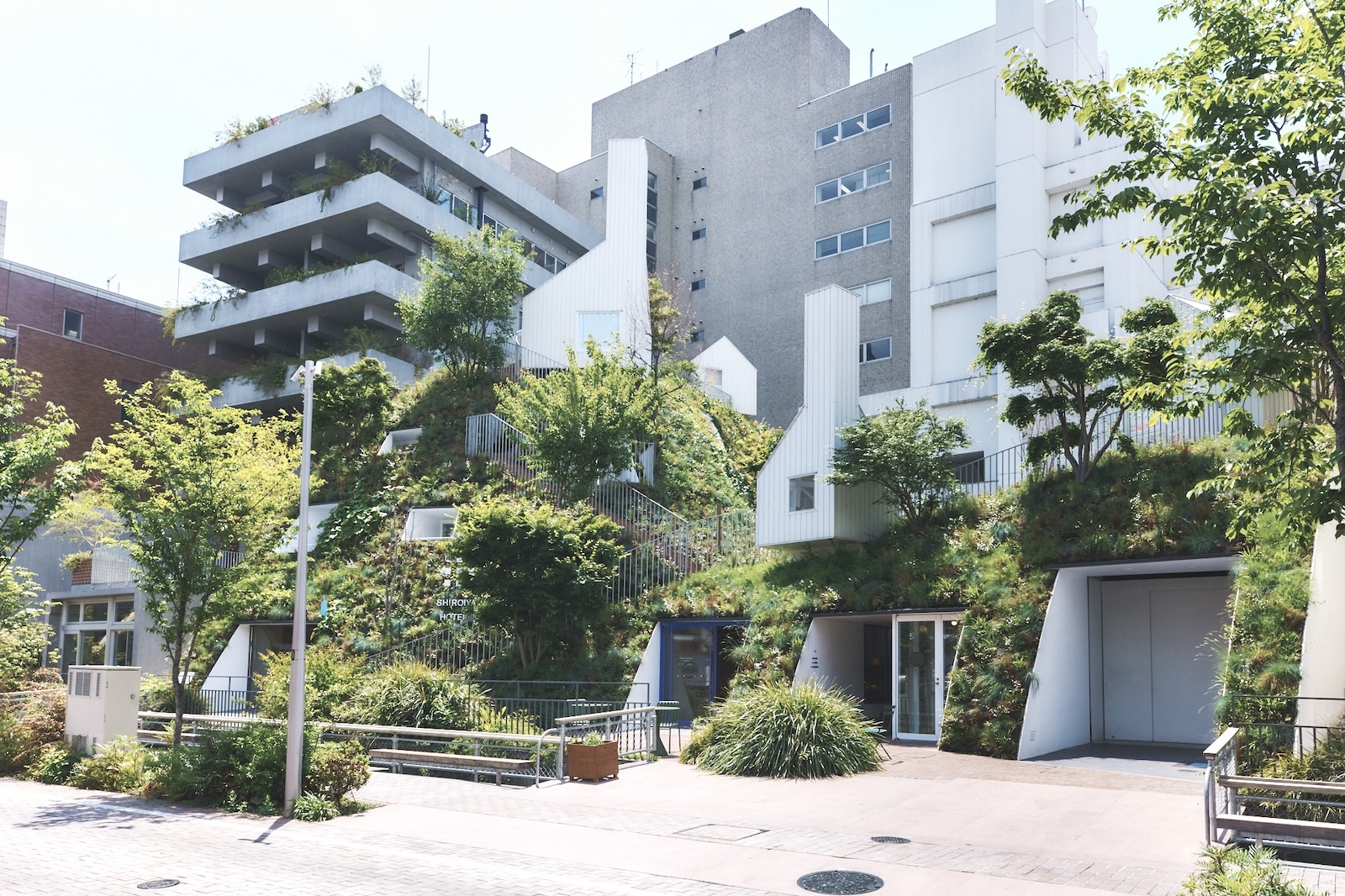 新着記事
